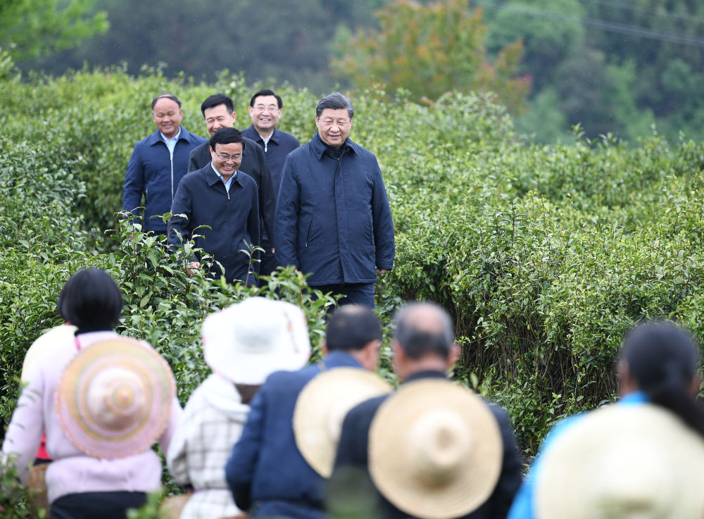 2020年4月21日，習(xí)近平來到陜西省安康市平利縣老縣鎮(zhèn)，在茶園考察脫貧攻堅情況。新華社記者 燕雁 攝